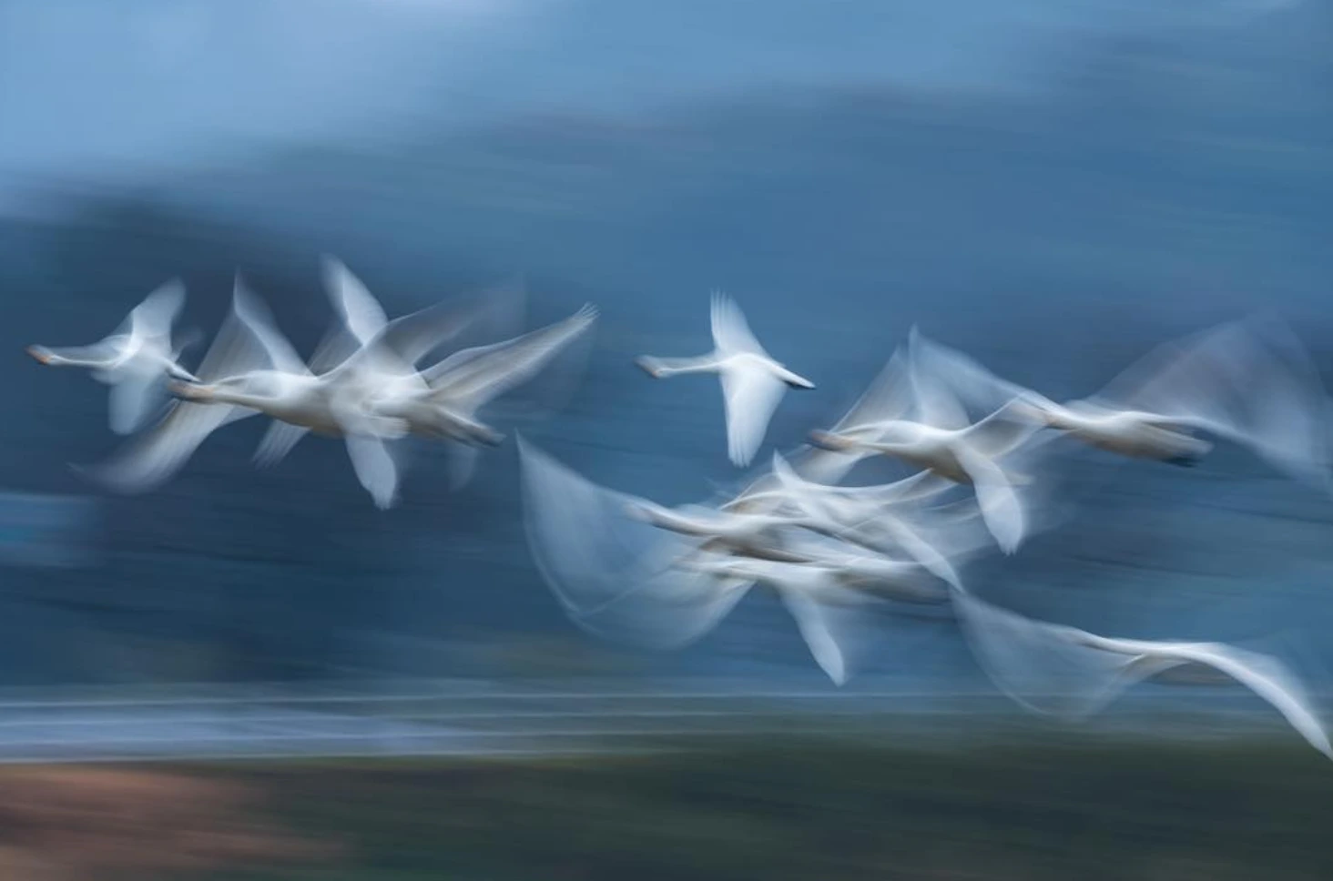 Flying birds rendered as soft motion blur against a blue background.