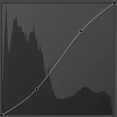 Tone curve panel showing a subtle S curve.
